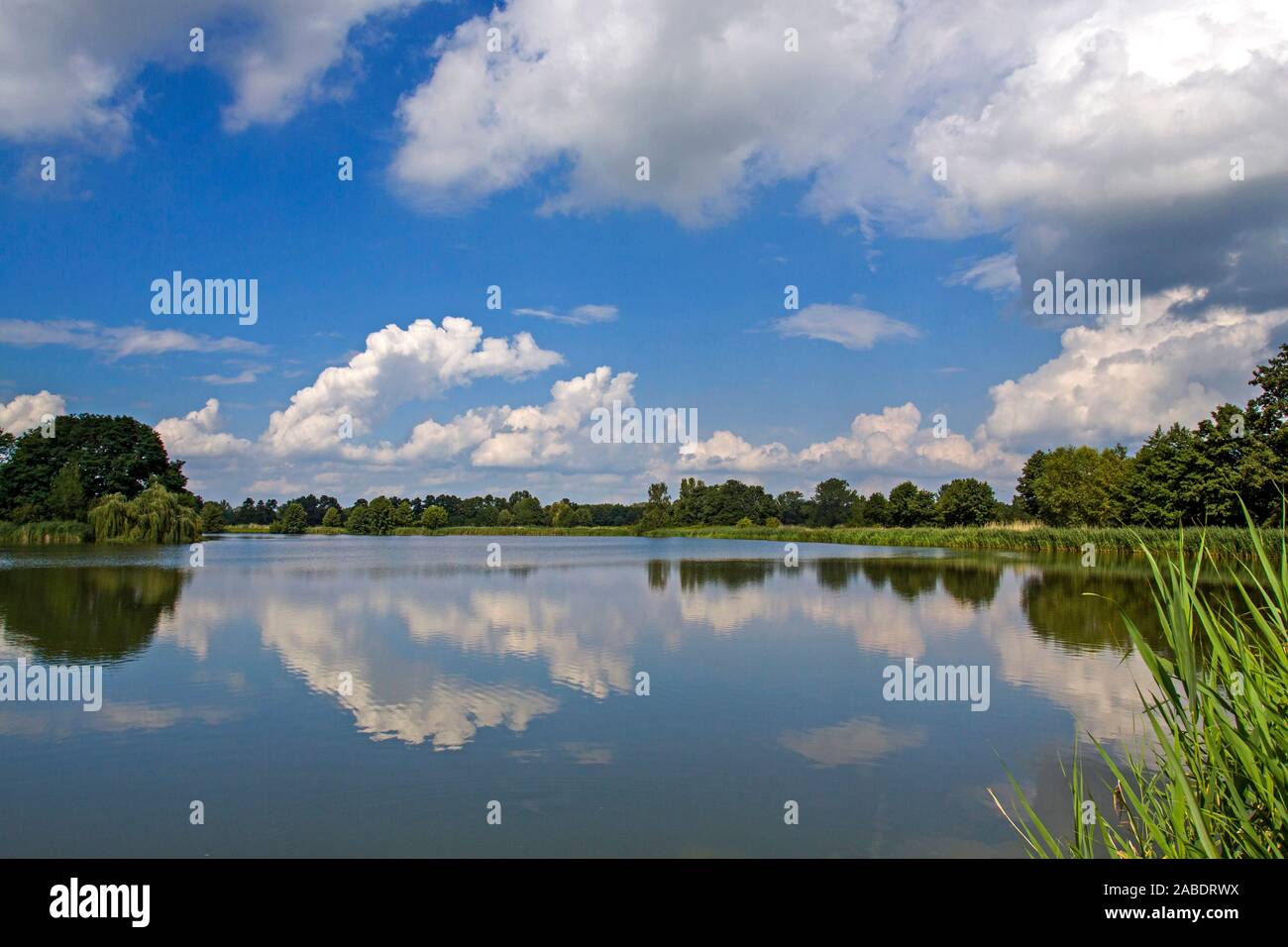 Fischteich in Brandenburg Stock Photo Alamy