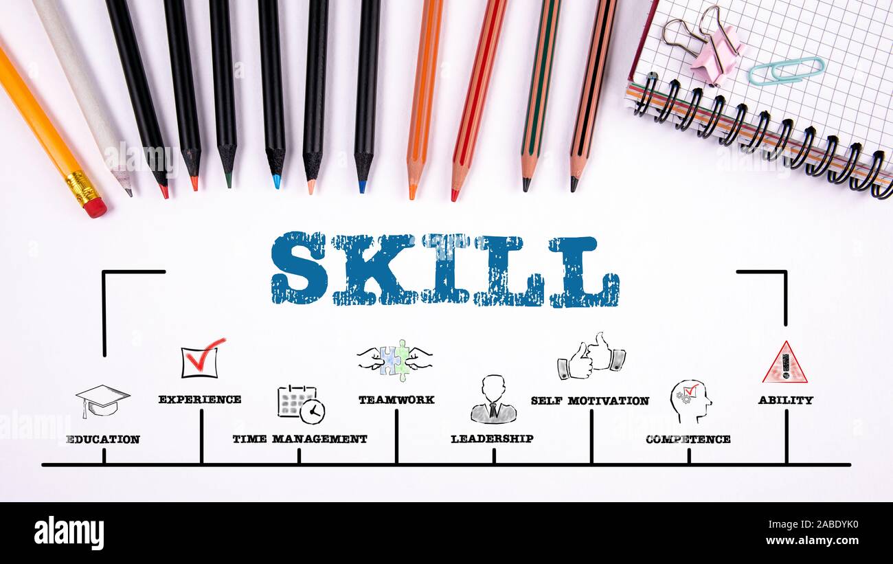 Skill Education Experience And Business Concept Chart With
