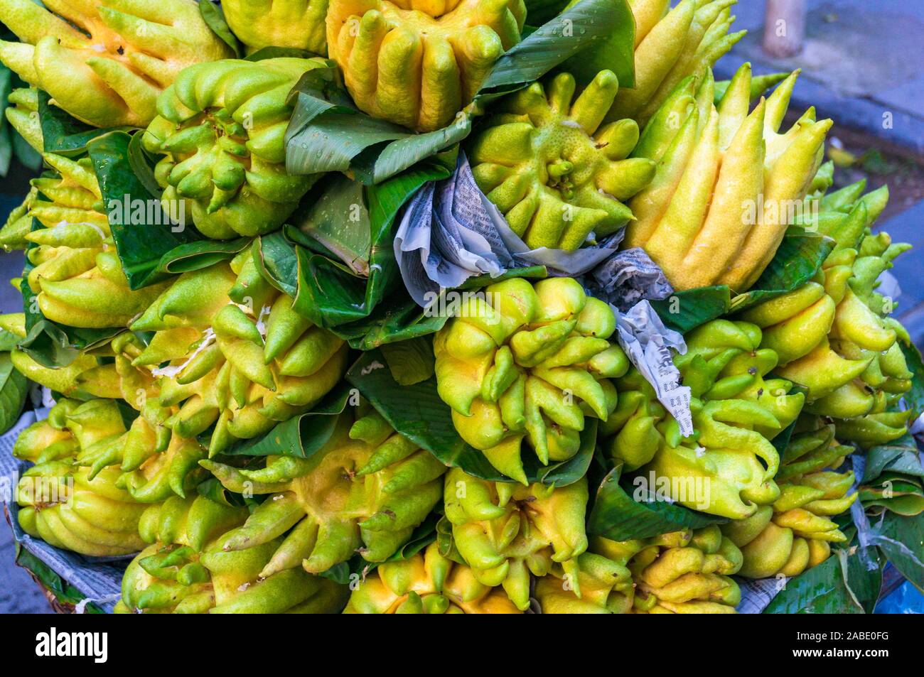 Buddha hand fruit display at street market. Tropical exotic fruit background Stock Photo
