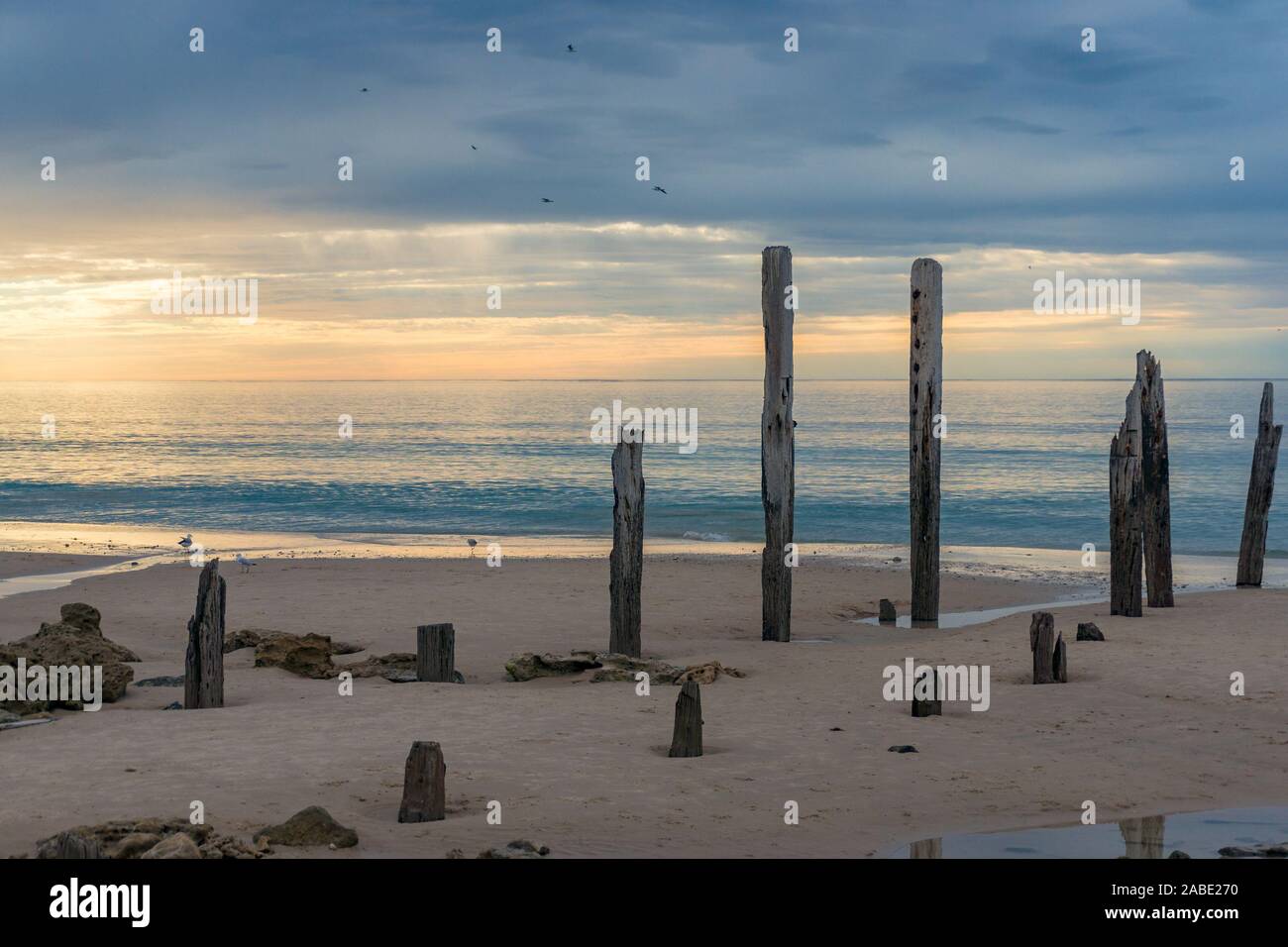 Old jetty pylons on a beach with sunset sky. Port Willunga, South Australia Stock Photo