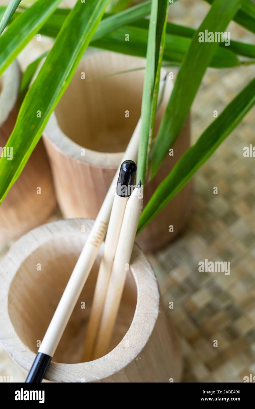 Plantable pencils made out of bamboo.Instead of an eraser at the end, a  biodegradable gelatin capsule is used containing seeds. At the end of the  penc Stock Photo - Alamy