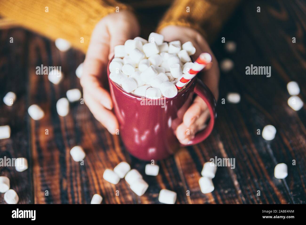 Woman in yellow sweater holding hot chocolate mug covered with marshmallow on dark wood background. Stock Photo