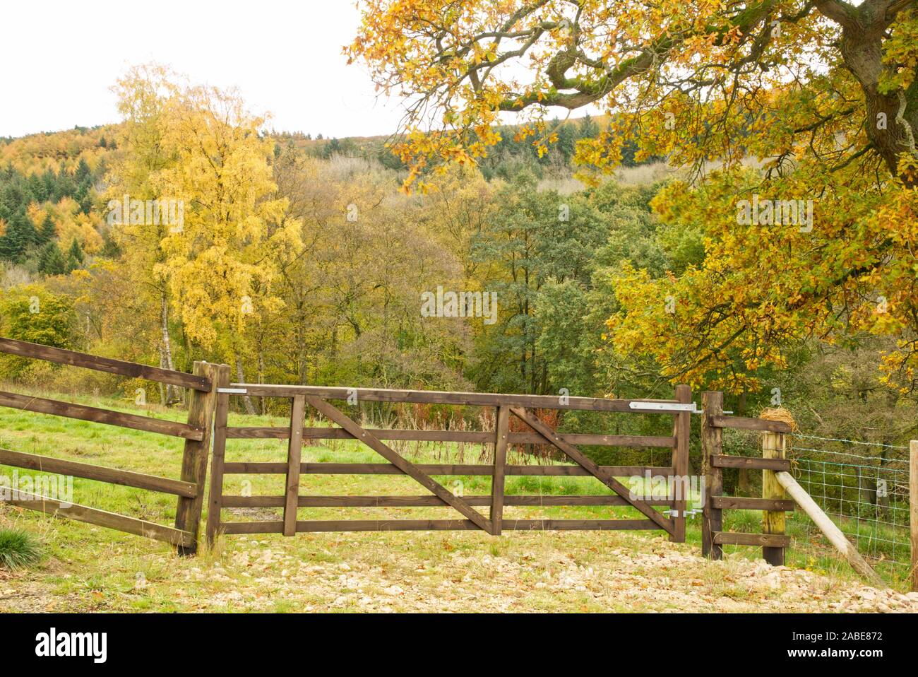 Autumn in Yorkshire Stock Photo