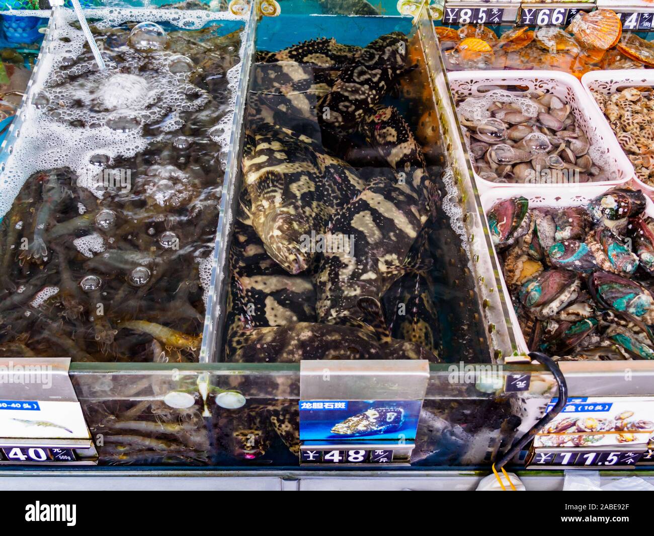 HAINAN, CHINA - 3 MAR 2019 – Tanks of fresh live seafood (fish; prawns, shellfish) for sale at a seafood wholesale and retail centre in Hainan, China Stock Photo