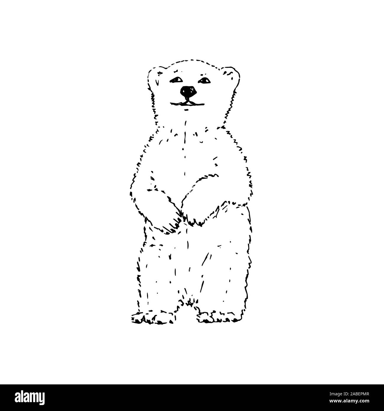 Polar bear. Black outline on white background. Picture can be used in greeting cards, posters, flyers, banners, logo, further design etc. Vector illustration. EPS10 Stock Vector