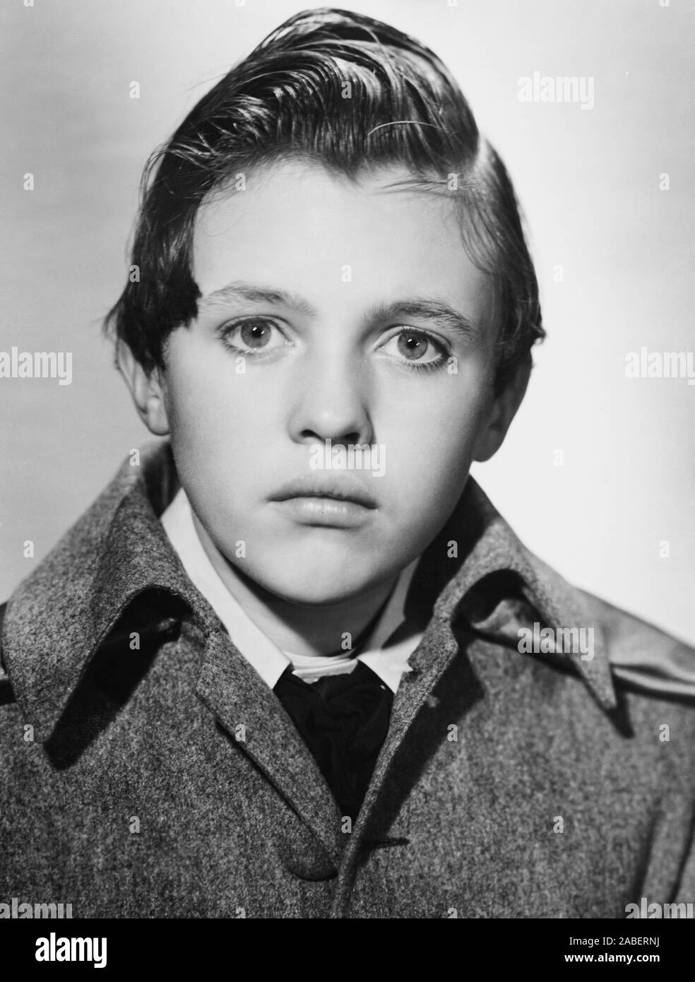 SWISS FAMILY ROBINSON, Terry Kilburn, 1940 Stock Photo Alamy