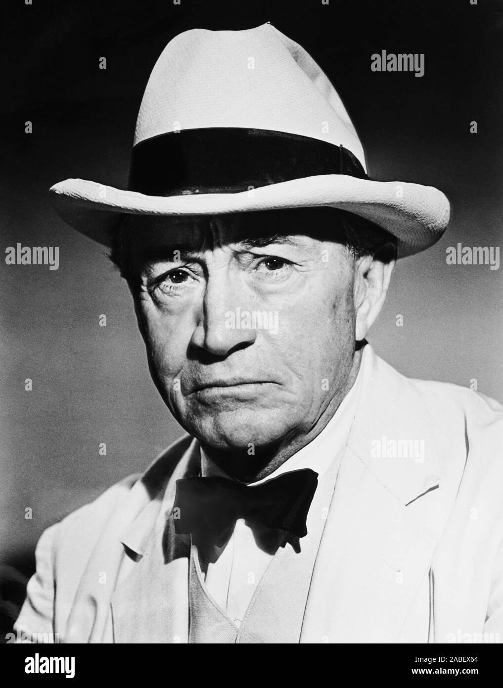 TO KILL A MOCKINGBIRD Paul Fix 1962 Stock Photo Alamy