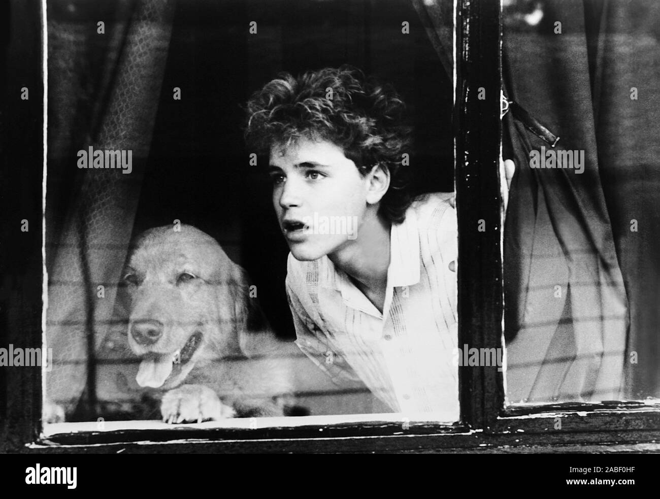 WATCHERS, Corey Haim, 1988, © Universal/courtesy Everett Collection