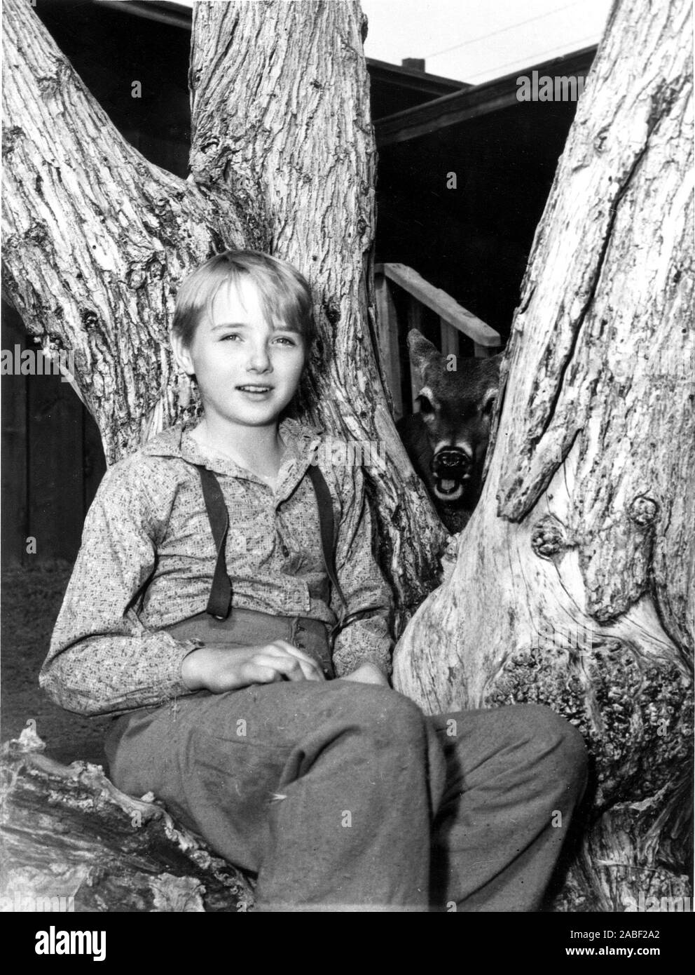 THE YEARLING, Claude Jarman, Jr., 1946 Stock Photo - Alamy
