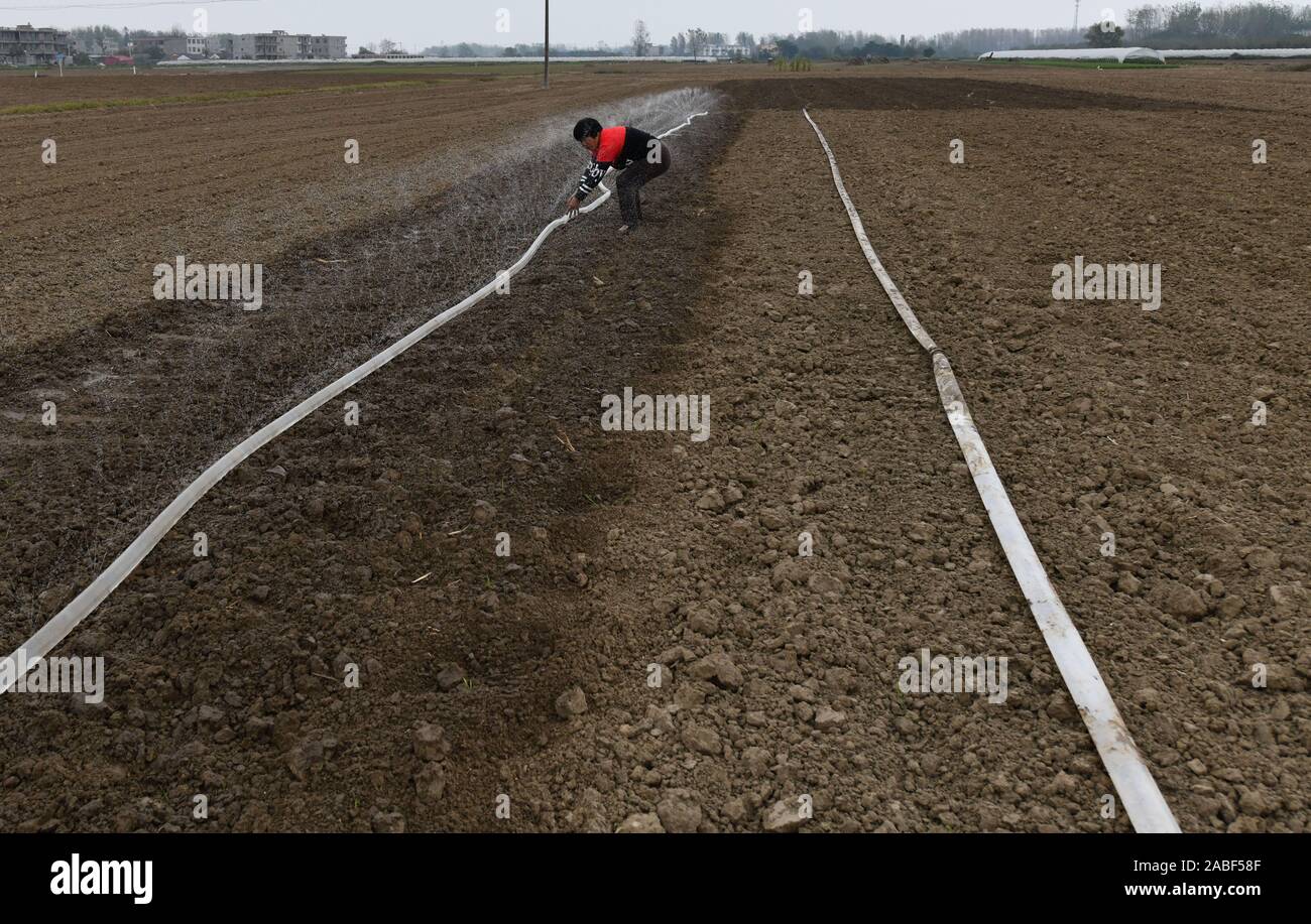 A farmer prepares to water the filed to fight against severe drought in Linquan county, Fuyang city, east China's Anhui province, 23 October 2019. The Stock Photo
