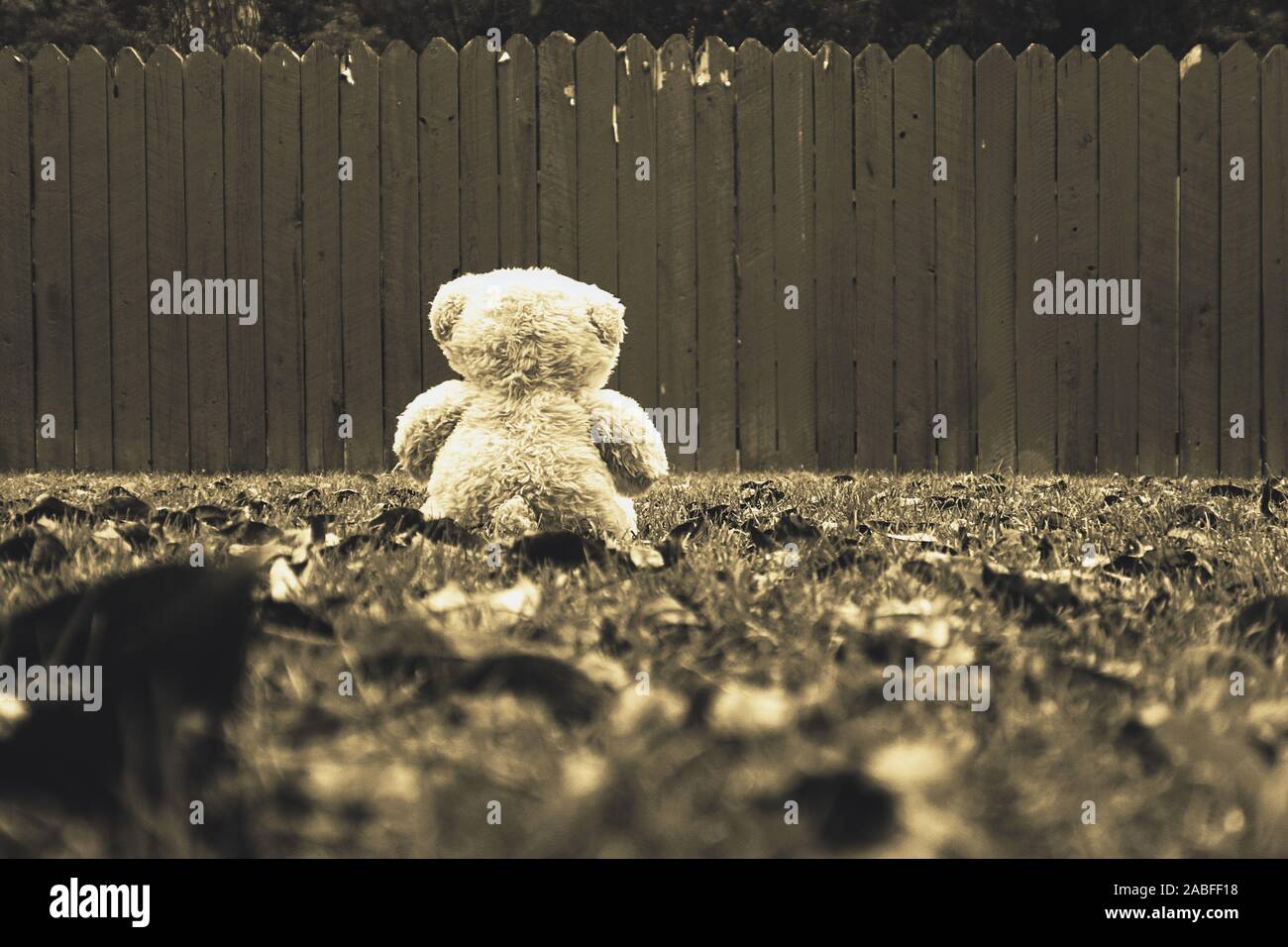 Sad teddy bear hi-res stock photography and images - Alamy