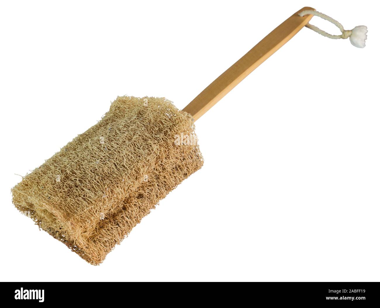 Vegetable sponge (Loofah) on a stick to bathe in the shower Stock Photo