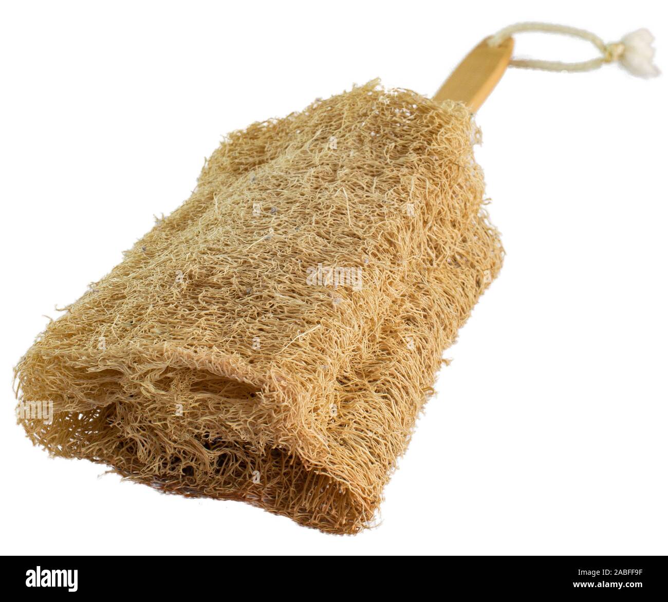 Vegetable sponge (Loofah) on a stick to bathe in the shower Stock Photo