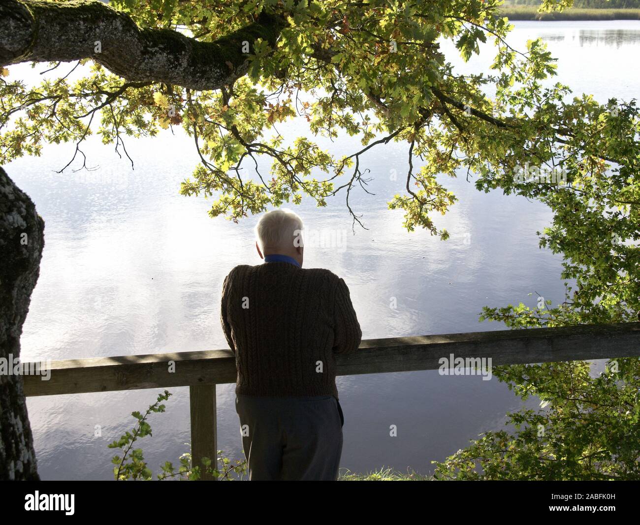 Alter Mann im Park schaut aufs Wasser Stock Photo