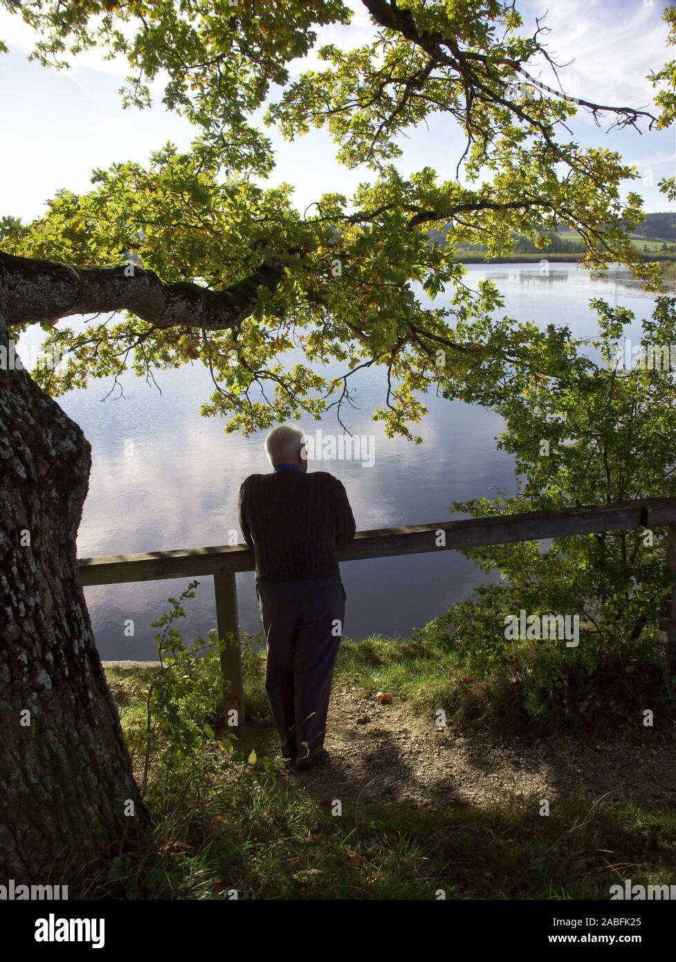 Alter Mann im Park schaut aufs Wasser Stock Photo