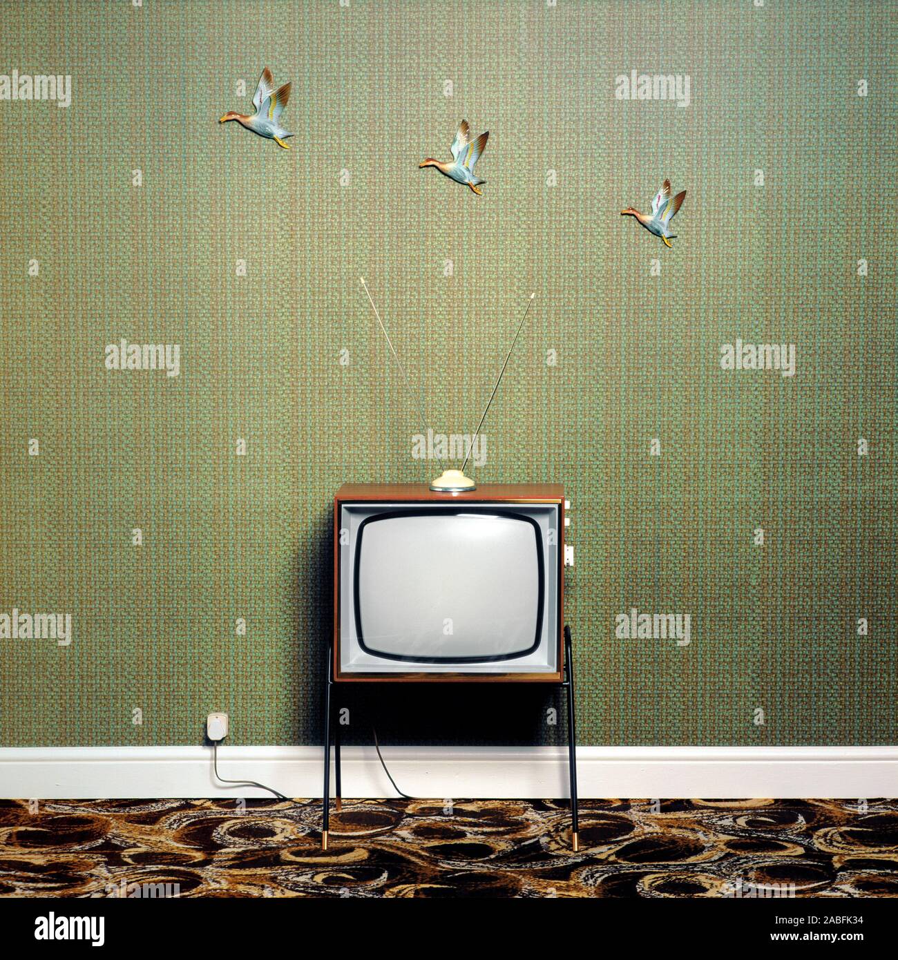 1960s television with 3 flying ducks on the wall Stock Photo