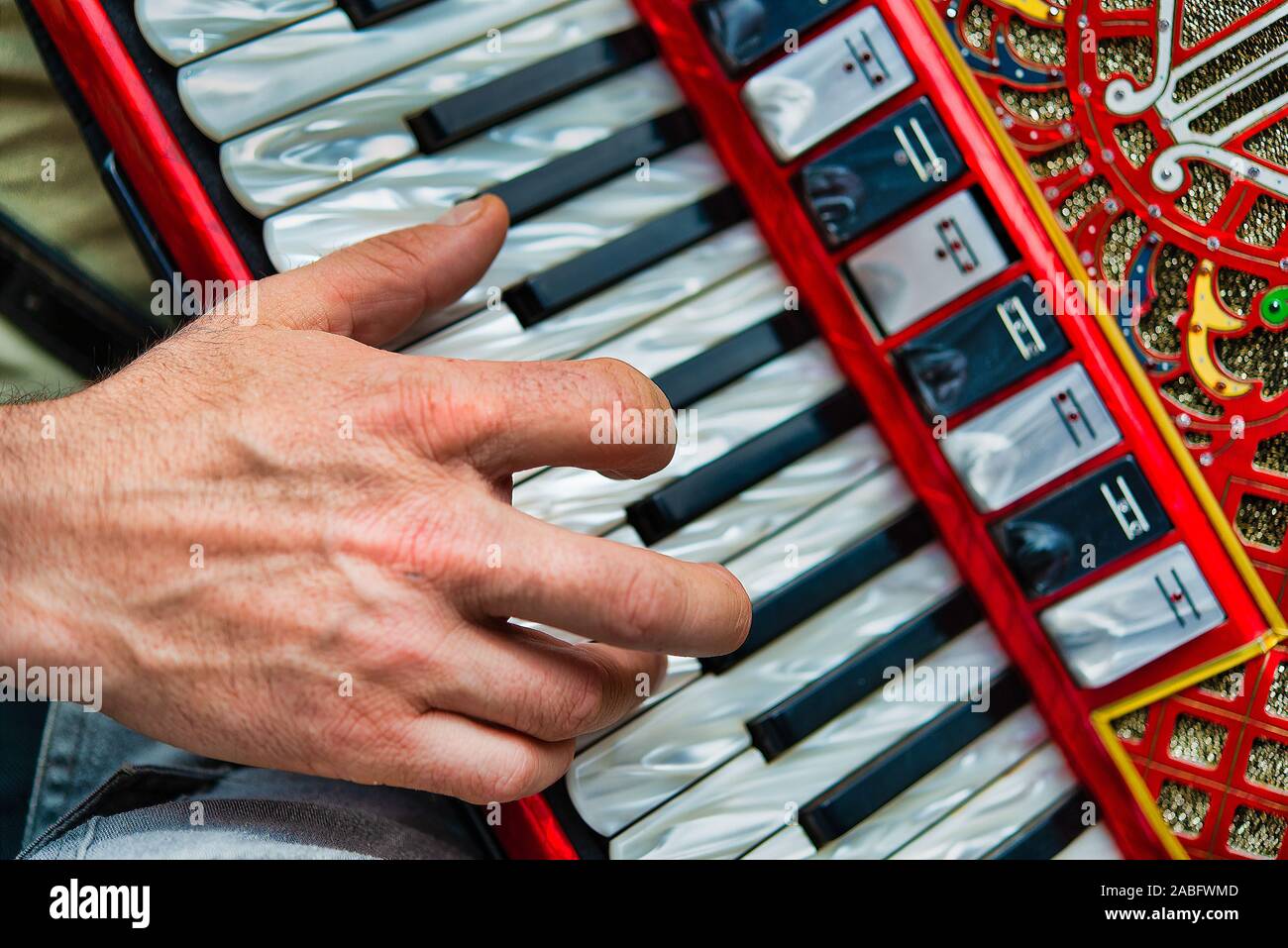 Detail of a popular folk accordion player Stock Photo Alamy