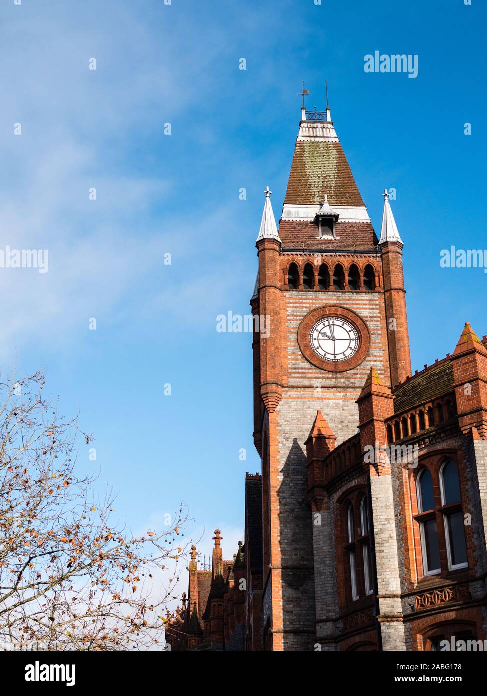 Reading Town Hall and Museum, Reading, England, UK,GB. Stock Photo