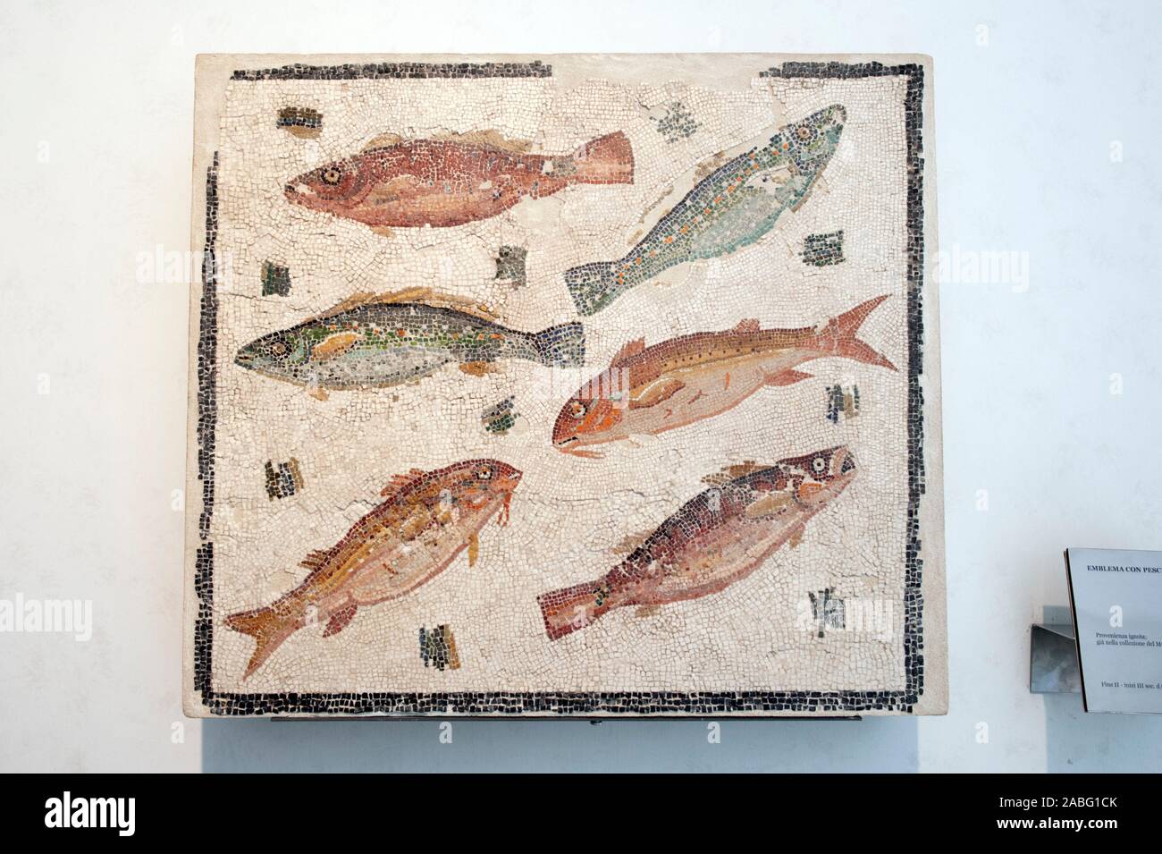 Italy, Rome, Palazzo Massimo alle Terme, Museo Nazionale Romano, National Roman Museum, roman mosaic with fishes (2nd-3rd century AD) Stock Photo