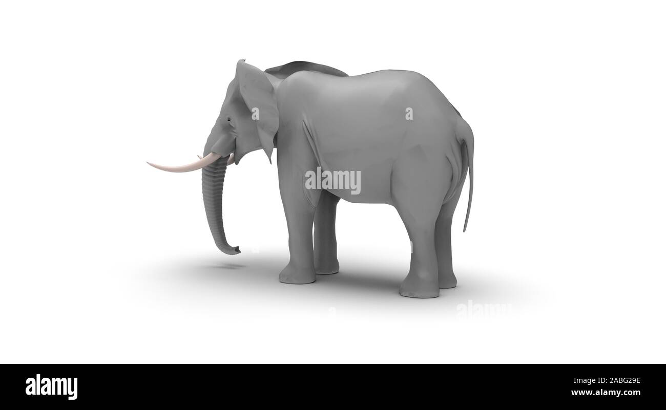 Elephant on White Background 3D Rendering Stock Photo - Alamy