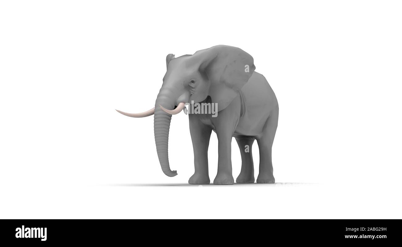 Elephant on White Background 3D Rendering Stock Photo - Alamy