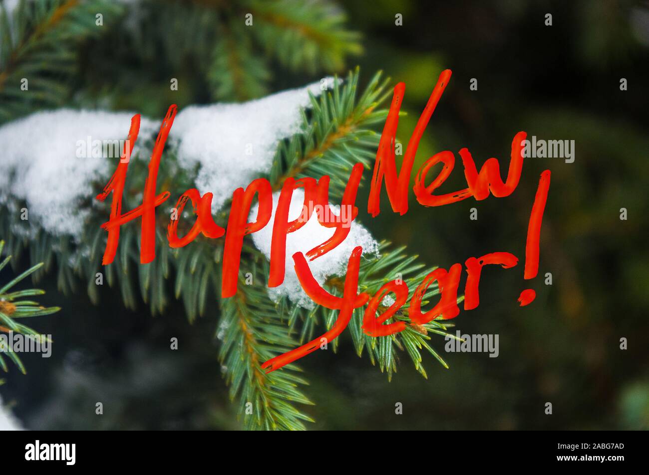 New Year Concept postcard. Green fluffy fir tree branch in the snow and ...