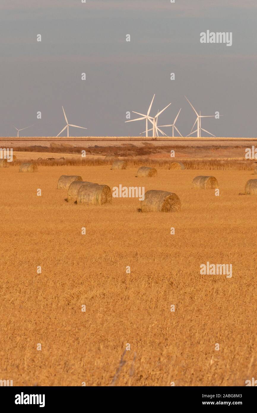 Fleming, Colorado - Hay bales and wind turbines in the late afternoon in northeastern Colorado. Stock Photo