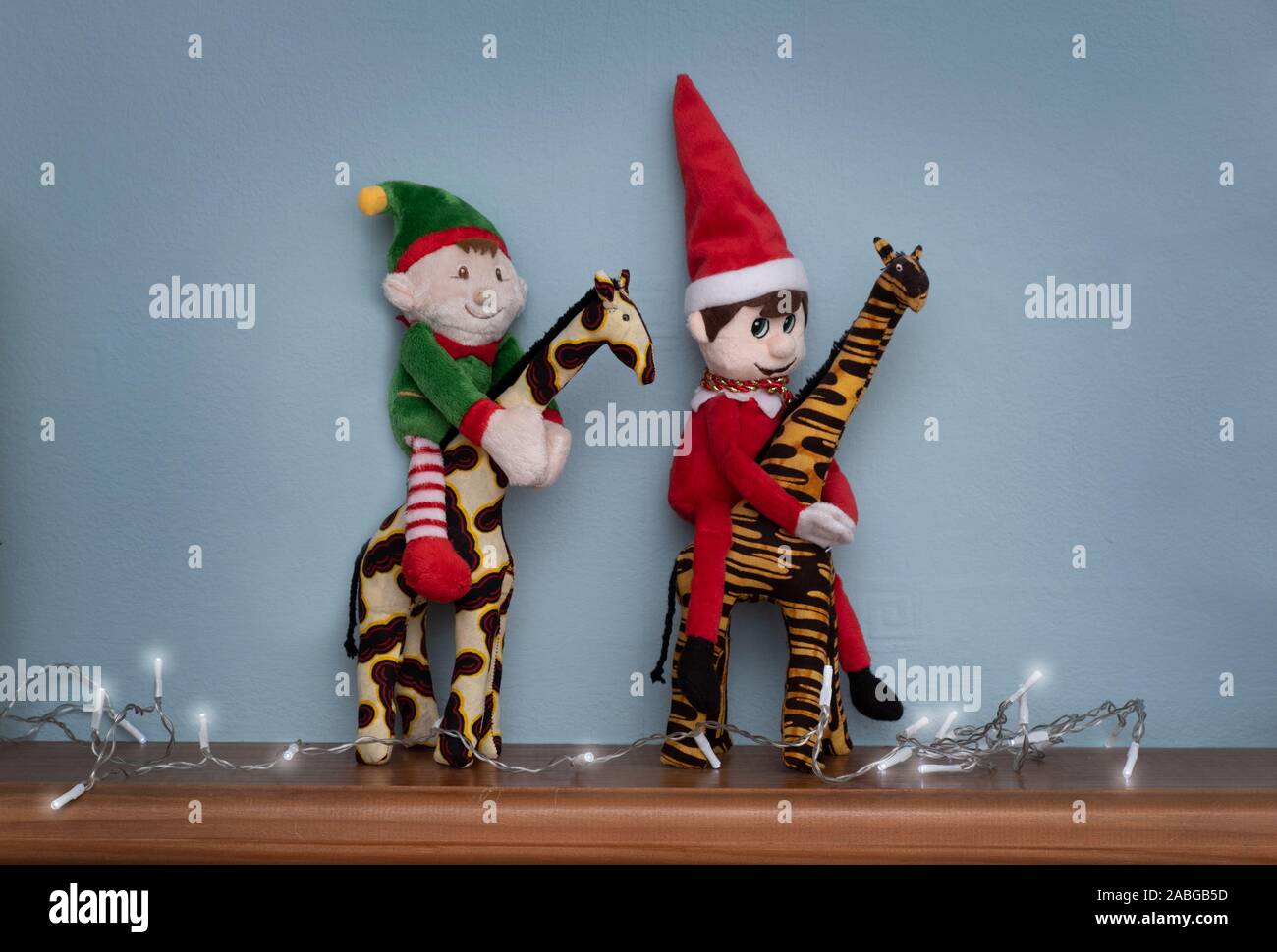 Elf on safari, riding a giraffe, two elves playing the fool. Cute tradition of sending Santa's elf to check up on children just before christmas. Stock Photo