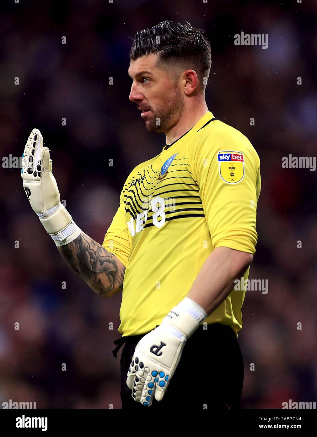 Keiren Westwood High Resolution Stock Photography and Images Alamy