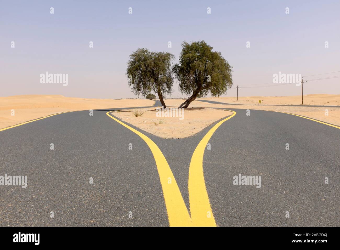 New desert cycle track at Al Qudra in Dubai United Arab Emirates Stock