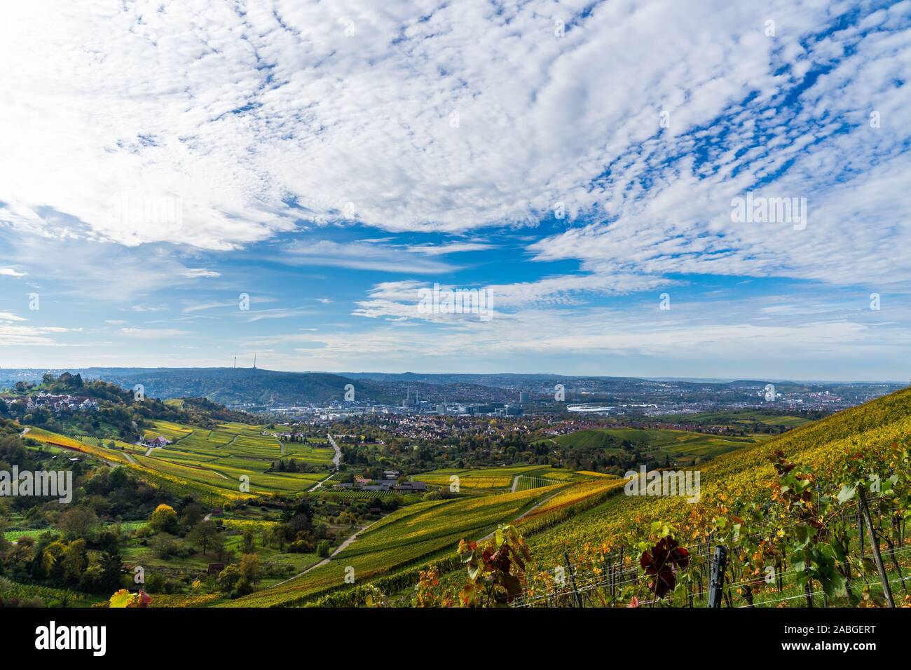Germany, Stuttgart city tv tower and skyline behind colorful vineyard ...