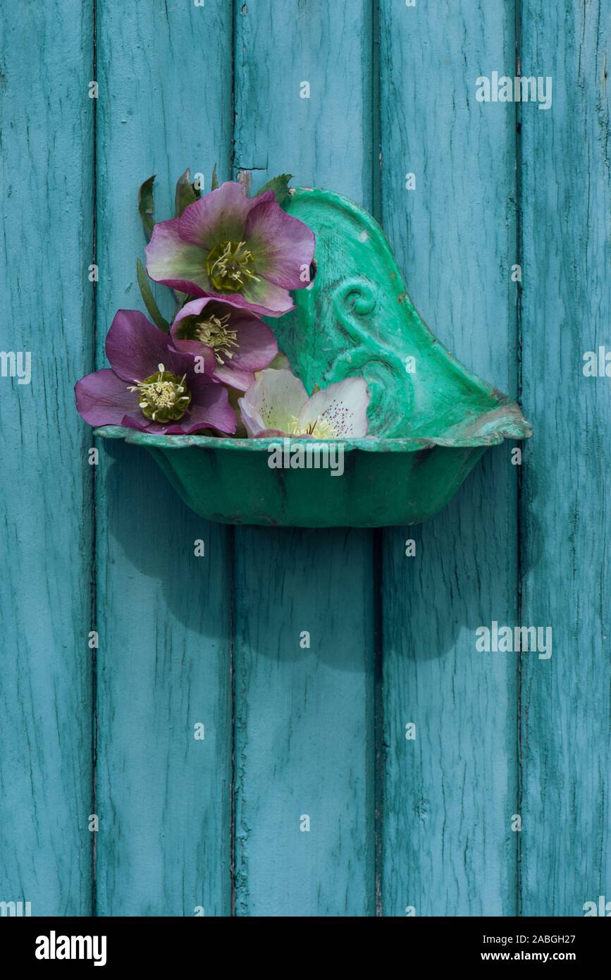 Soap dish with christian roses Stock Photo Alamy