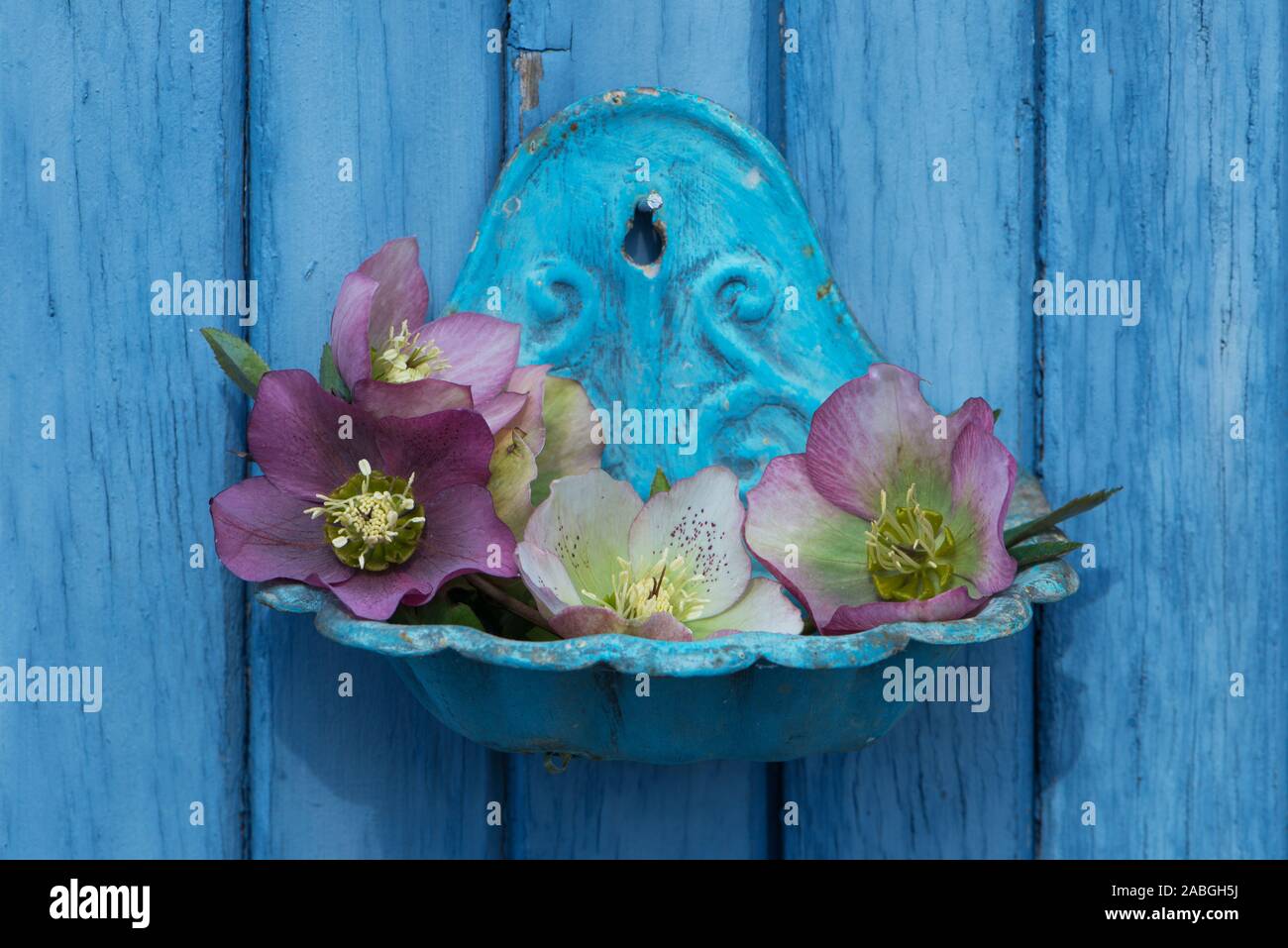 Soap dish with christian roses Stock Photo Alamy