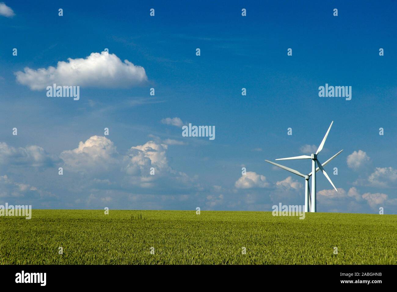 Windkraft, Windrad in Monokultur, Querformat Stock Photo