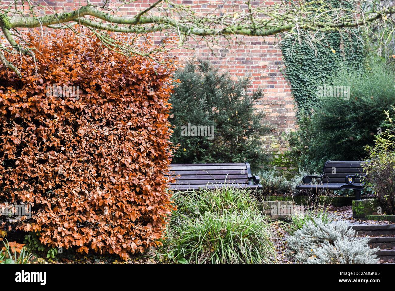 Outdoor Seating Area In Public Communal Gardens With Trees And