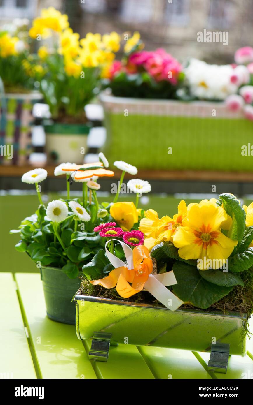 Colorful spring flowers on a colorful balcony Stock Photo