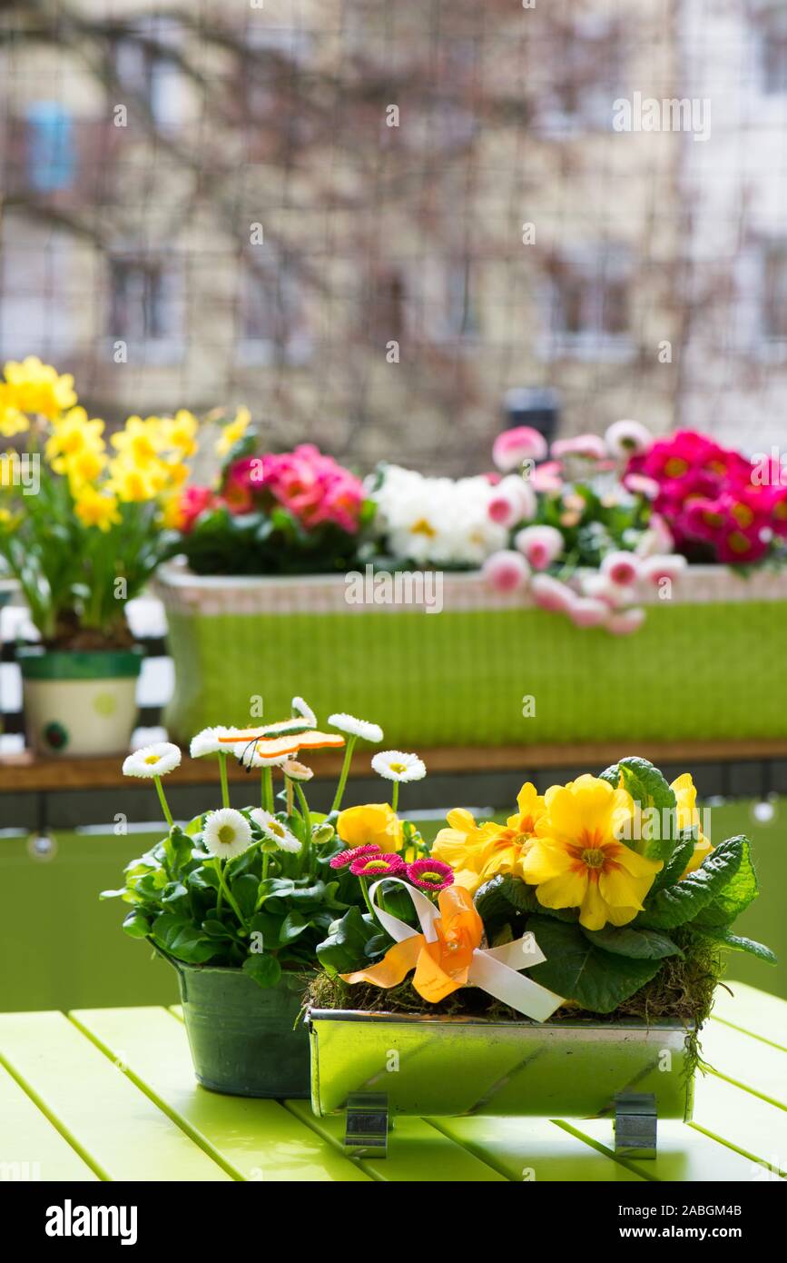 Colorful spring flowers on a colorful balcony Stock Photo