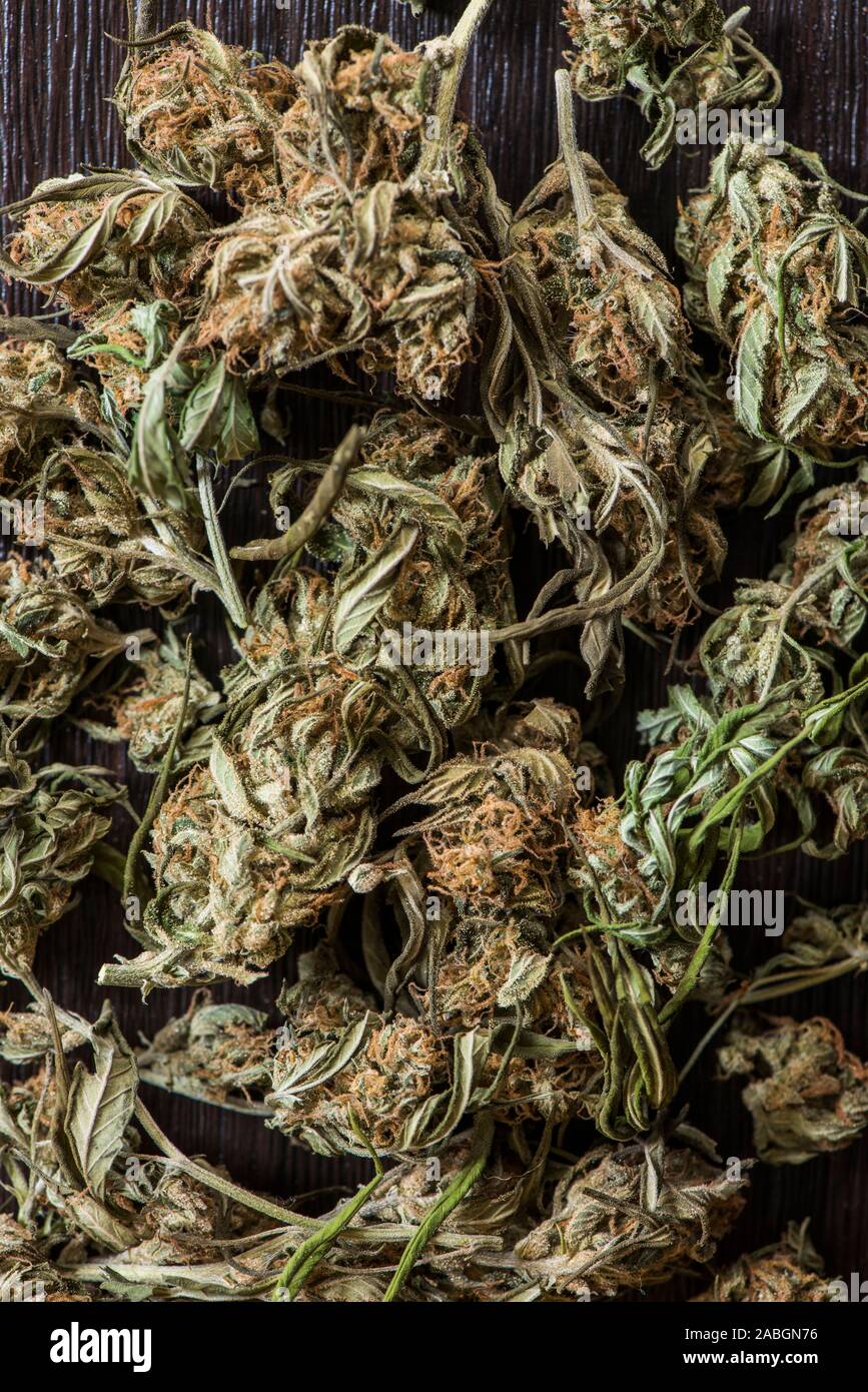 Close-up of dried Cannabis plant Stock Photo