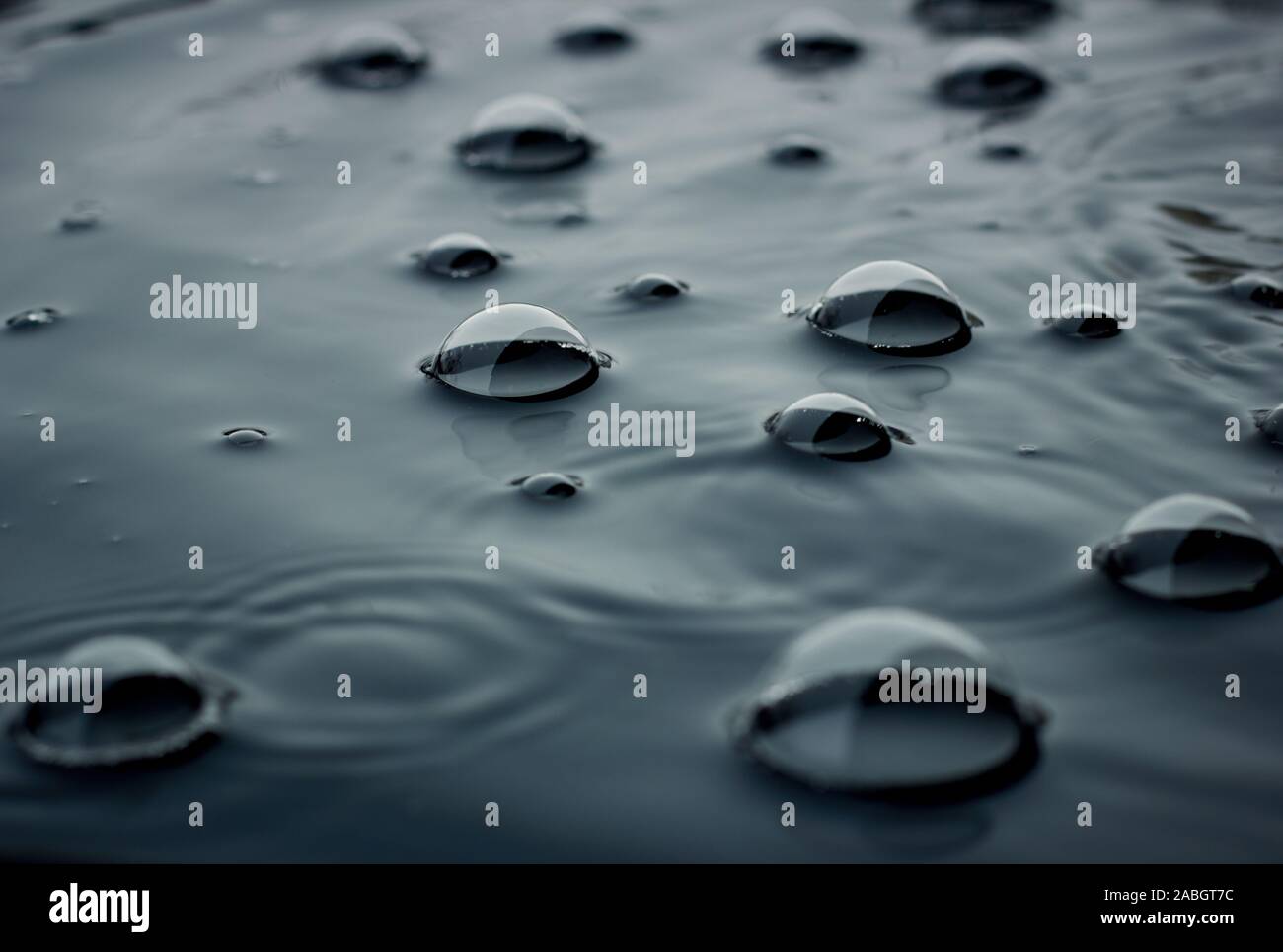 Bubbles on smooth water surface in the rainy day, closeup, copy space