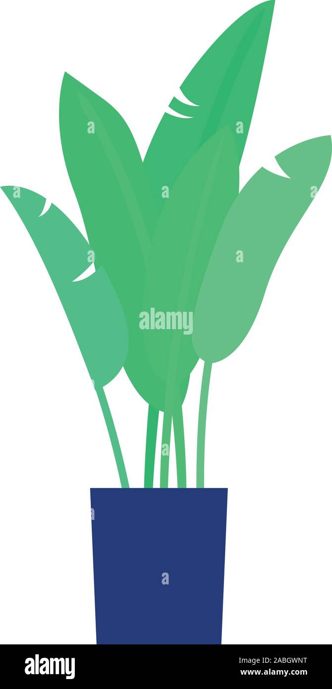 Tropical plant pot icon, flat style Stock Vector Image & Art - Alamy