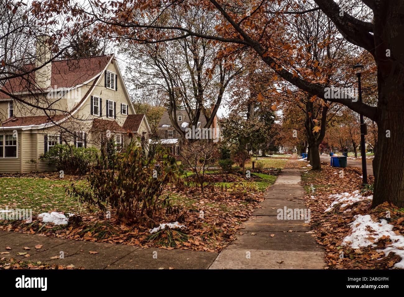 Quiet neighborhood on trash day in autumn Stock Photo