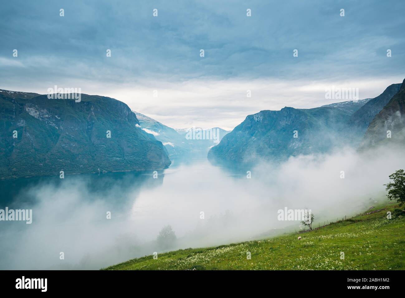 Sogn And Fjordane Fjord Norway Amazing Fjord Sogn Og Fjordane In Fog Clouds Summer Scenic View Of Famous Natural Attraction Landmark And Popular De Stock Photo Alamy