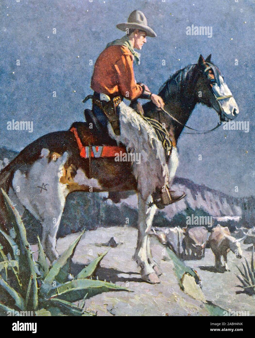 AMERICAN COWBOY about 1905 Stock Photo