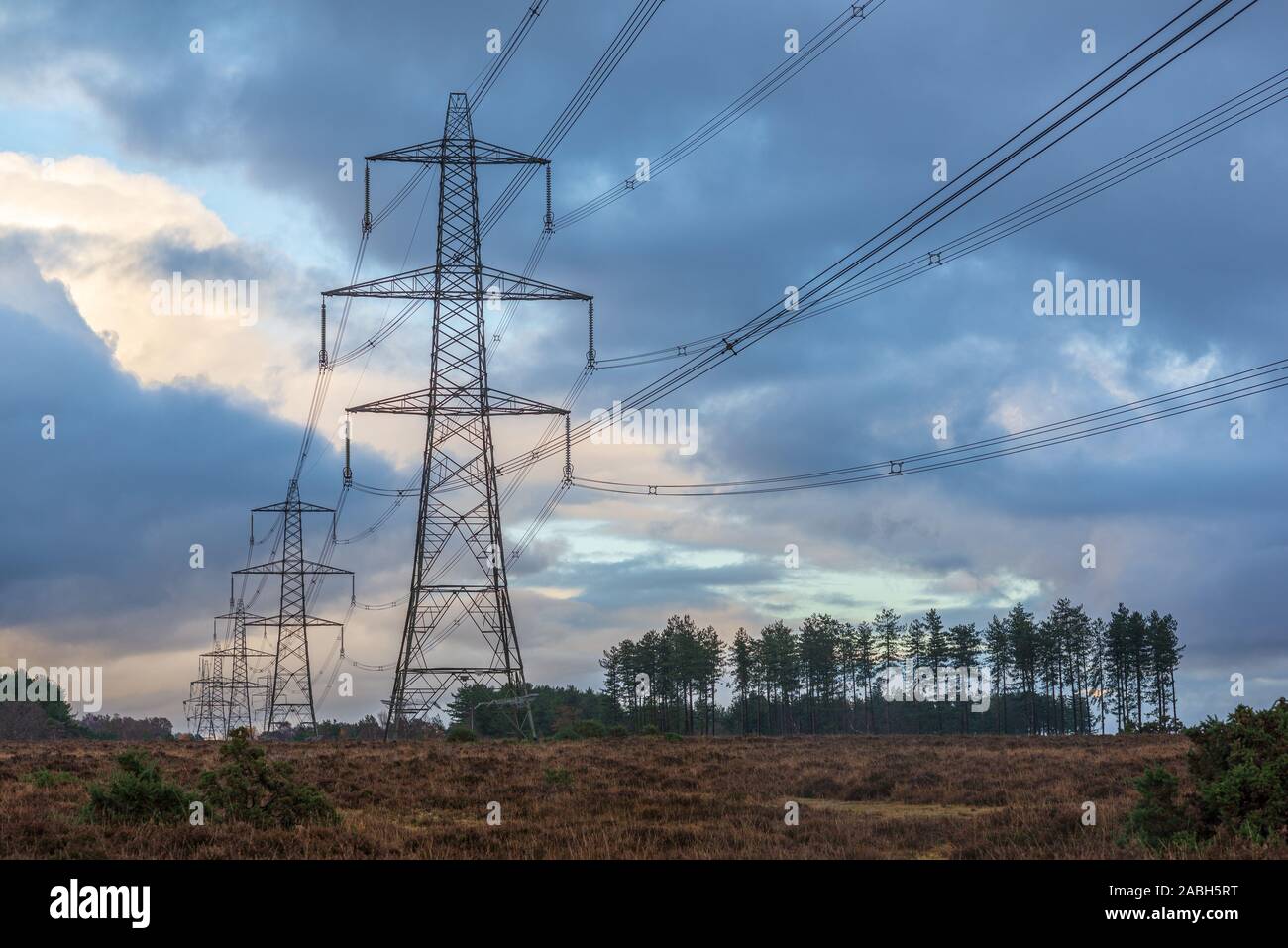 National Grid pylons and power lines crossing the New Forest at Hale Purlieu near Fordingbridge, Hampshire, UK Stock Photo