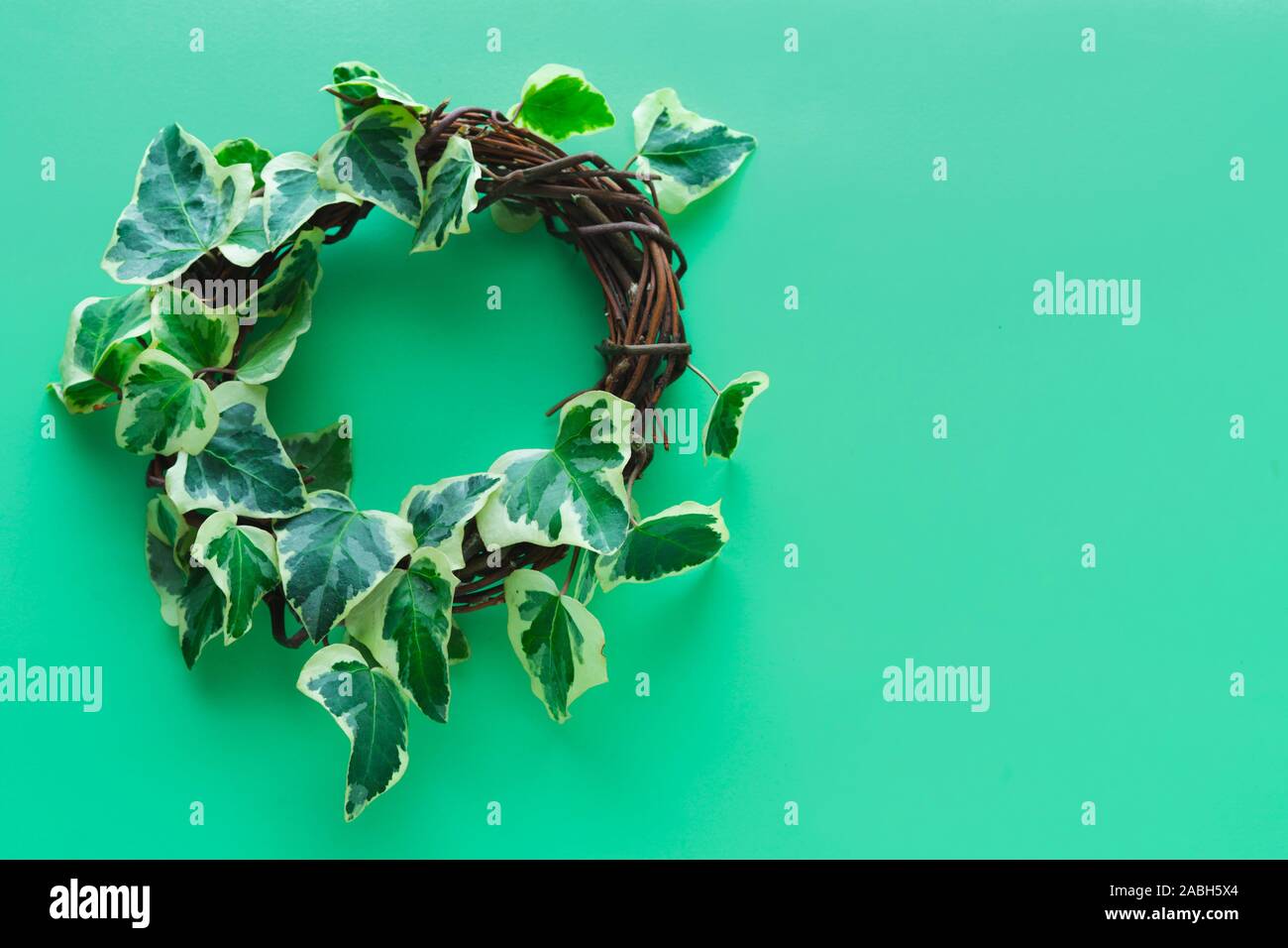 Ivy wreath hi-res stock photography and images - Alamy
