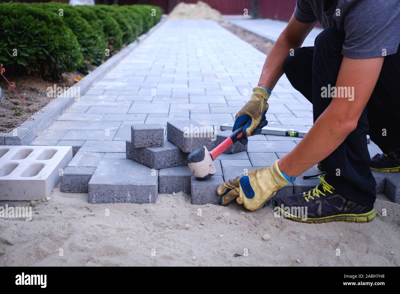 The master in yellow gloves lays paving stones in layers. Garden brick ...