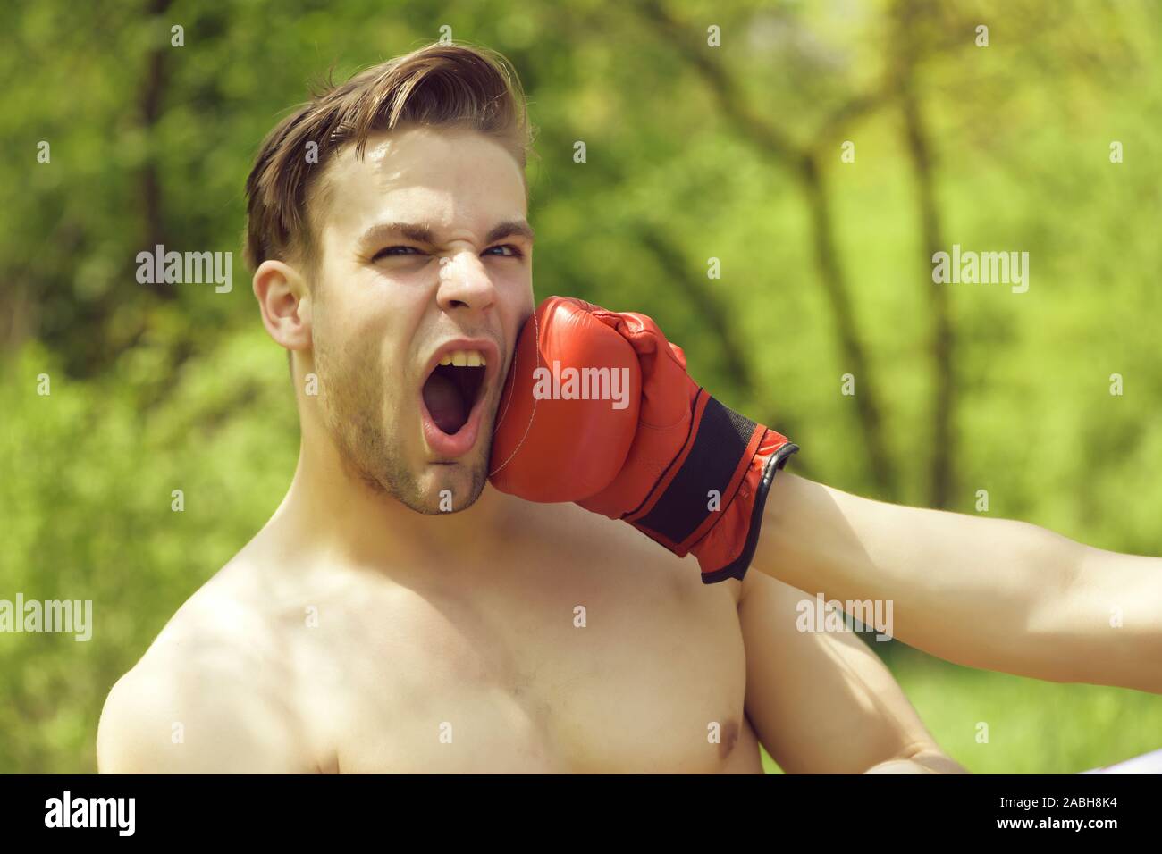 Man punched in face with boxing glove on green trees background