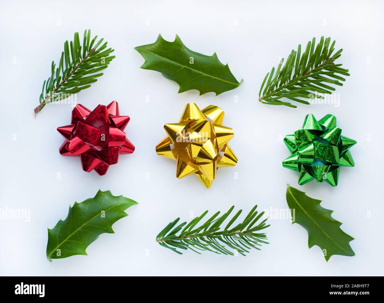Red, yellow, green gift  bows on a white background. Leaves of Holly and fir branches. Stock Photo
