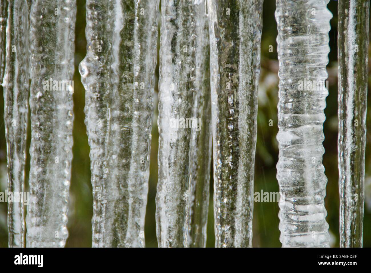 Crystal clear sharp frozen icicles hanging down. Stock Photo