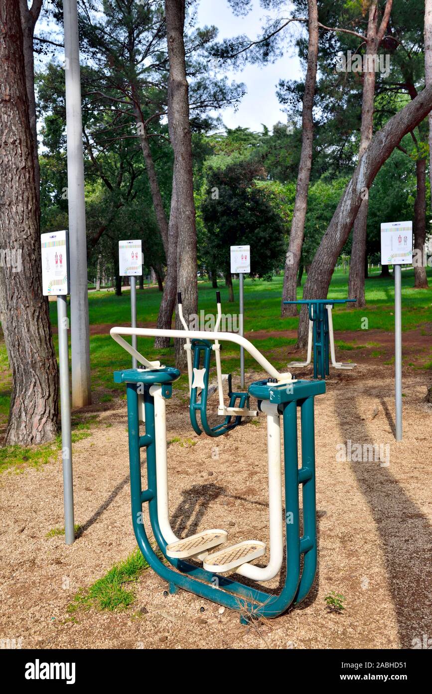 Simple step equipment out in the open in public park particularly aimed at the elderly but for anyone to use with instruction notices Stock Photo